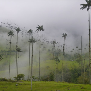 La Colombie, des Andes à la côte caraïbe