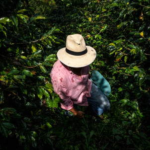 La Colombie, des Andes à la côte caraïbe
