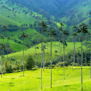 Merveilles de Colombie