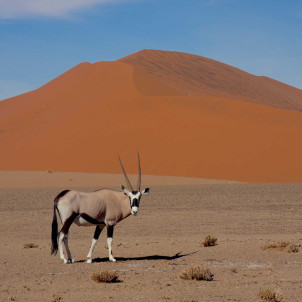L'essence de Namibie