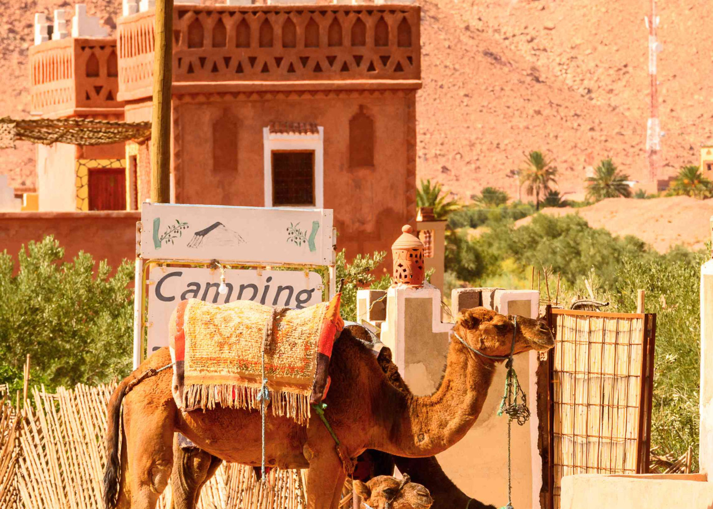 Marrakech --- col de Tichka ----Ouarzazate ---Vallée des roses.