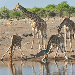 Le grand Namib