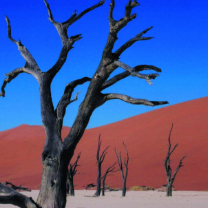 La Namibie Authentique