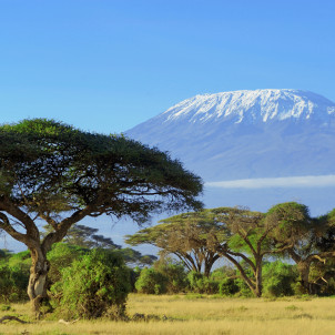Les incontournables de la Tanzanie