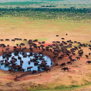 Les incontournables de la Tanzanie