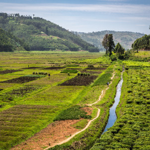 Séjour d'aventure de 8 jours au Rwanda
