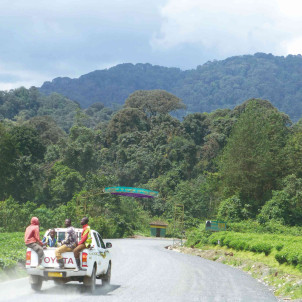 Séjour de 12 jours au Rwanda et en Ouganda