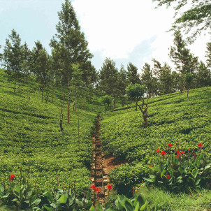 Wellness, Entspannung und Kultur