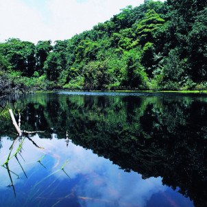 Combiné Costa Rica - Nicaragua: entre nature et culture