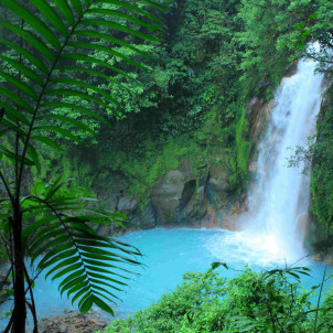 Grand Tour en el país del oro verde