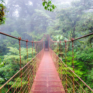 Grand Tour en el país del oro verde