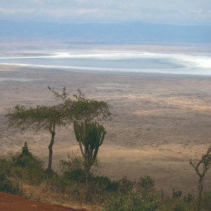 Safari por la naturaleza en Tanzania