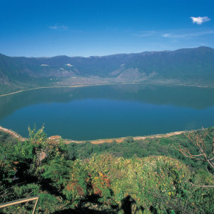 Safari por la naturaleza en Tanzania