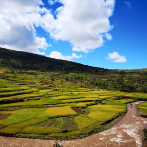 THE SOUTH OF MADAGASCAR