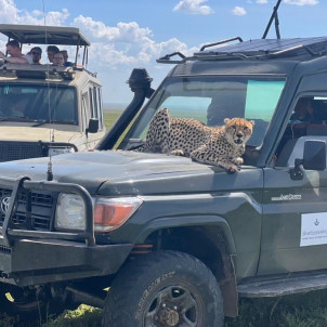 11-Day Serengeti, Maasai Mara, Tarangire, Amboseli Park