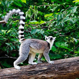 Les secrets de la  Route Nationale 7 de Madagascar