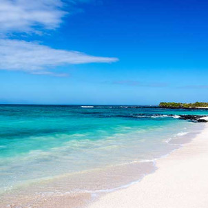 Tour des îles Galapagos