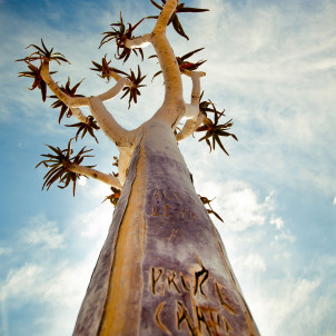 Les essentiels de la Namibie