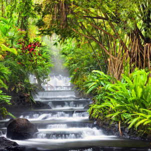 Entdecken Sie das wahre Costa Rica, mit Schwerpunkt auf Land und Landwirtschaft.