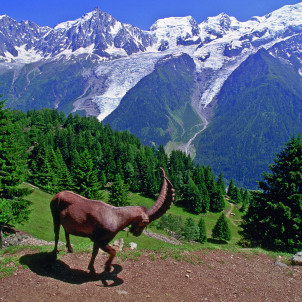 Die Alpen entdecken