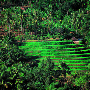 Rust en sereniteit in Bali