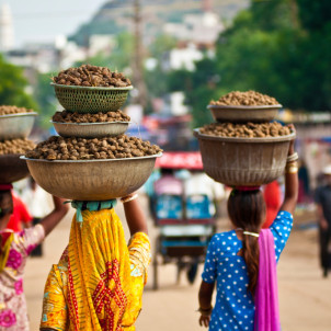 Le Rajasthan en famille