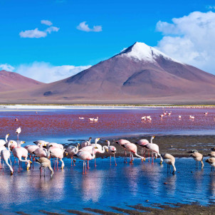 Boliviens Must-Seeing