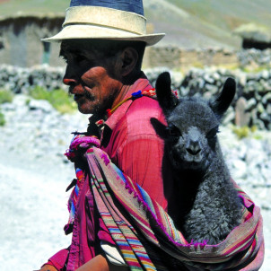 Andenkarawane uberquert die Anden im Rhythmus der Maultiere des Altiplano