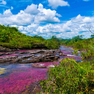 De l'Amazonie aux Caraïbes