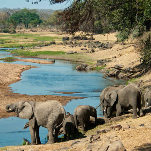 Les incontournables de la Tanzanie